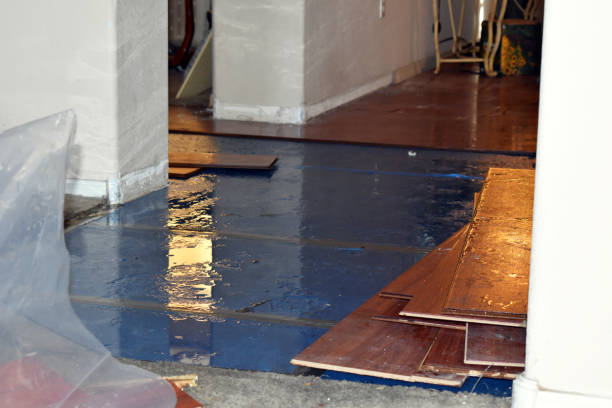 Professional Water Damage Restoration technician working in Lexington, OK